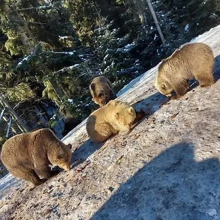 людмила 宾馆 *