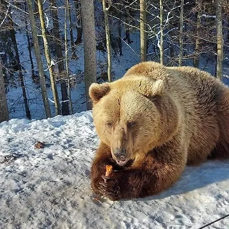 людмила 宾馆 库尼贡达