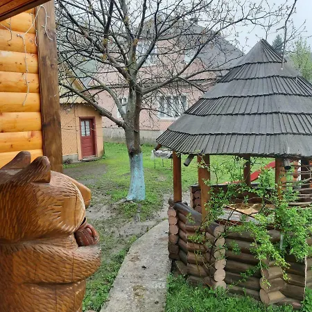 людмила Inn Synevyr